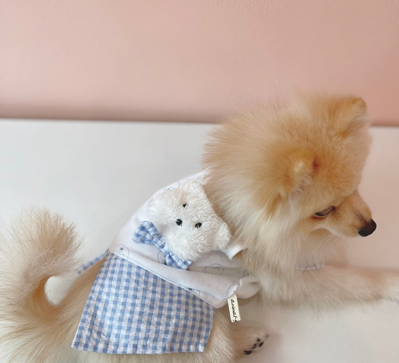 Animal-Go-Round เสื้อผ้าเครื่องแต่งกาย สัตว์เลี้ยง, หมา, แมว, สุนัข รุ่น Polar Bear Blue