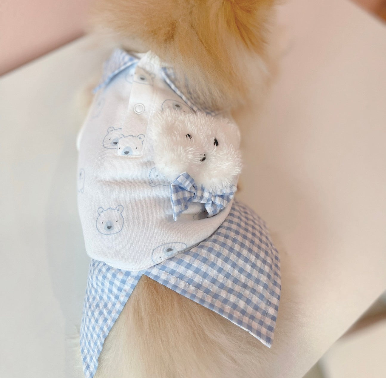 Animal-Go-Round เสื้อผ้าเครื่องแต่งกาย สัตว์เลี้ยง, หมา, แมว, สุนัข รุ่น Polar Bear Blue