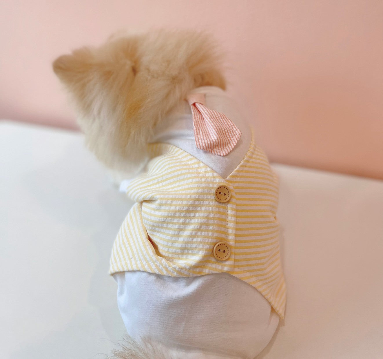 Animal-Go-Round เสื้อผ้าเครื่องแต่งกาย สัตว์เลี้ยง, หมา, แมว, สุนัข รุ่น Tuxedo Yellow