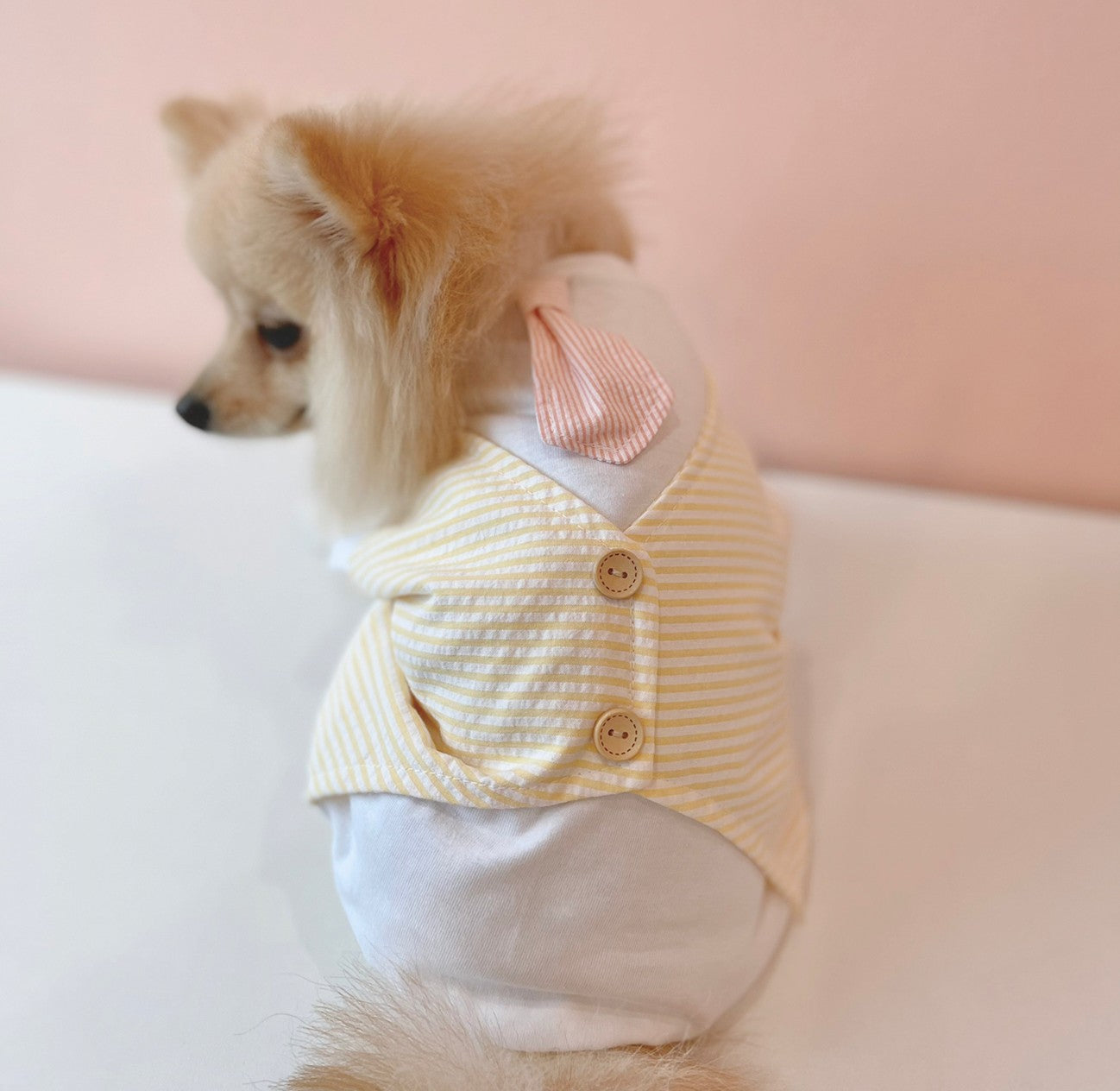 Animal-Go-Round เสื้อผ้าเครื่องแต่งกาย สัตว์เลี้ยง, หมา, แมว, สุนัข รุ่น Tuxedo Yellow
