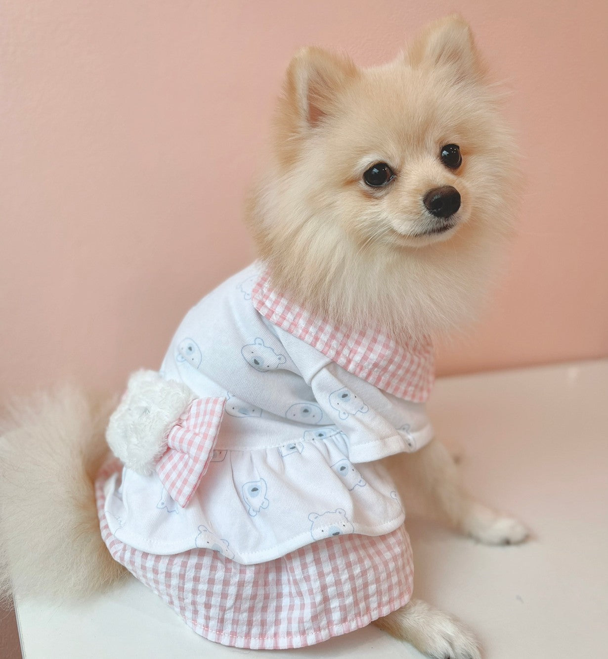 Animal-Go-Round เสื้อผ้าเครื่องแต่งกาย สัตว์เลี้ยง, หมา, แมว, สุนัข รุ่น Polar Bear Pink