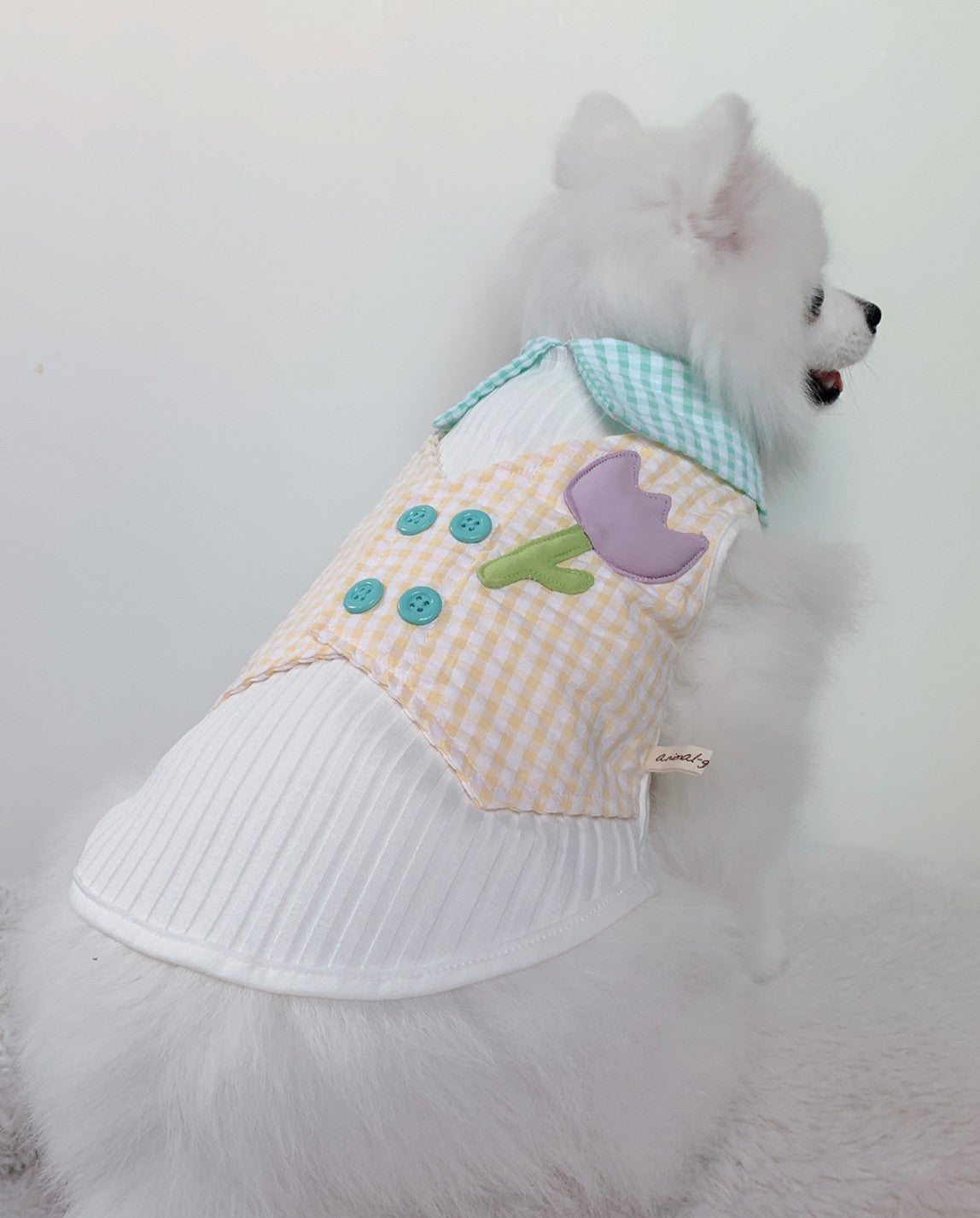 Animal-Go-Round เสื้อผ้าเครื่องแต่งกาย สัตว์เลี้ยง, หมา, แมว, สุนัข รุ่น Tulip Mania Boy