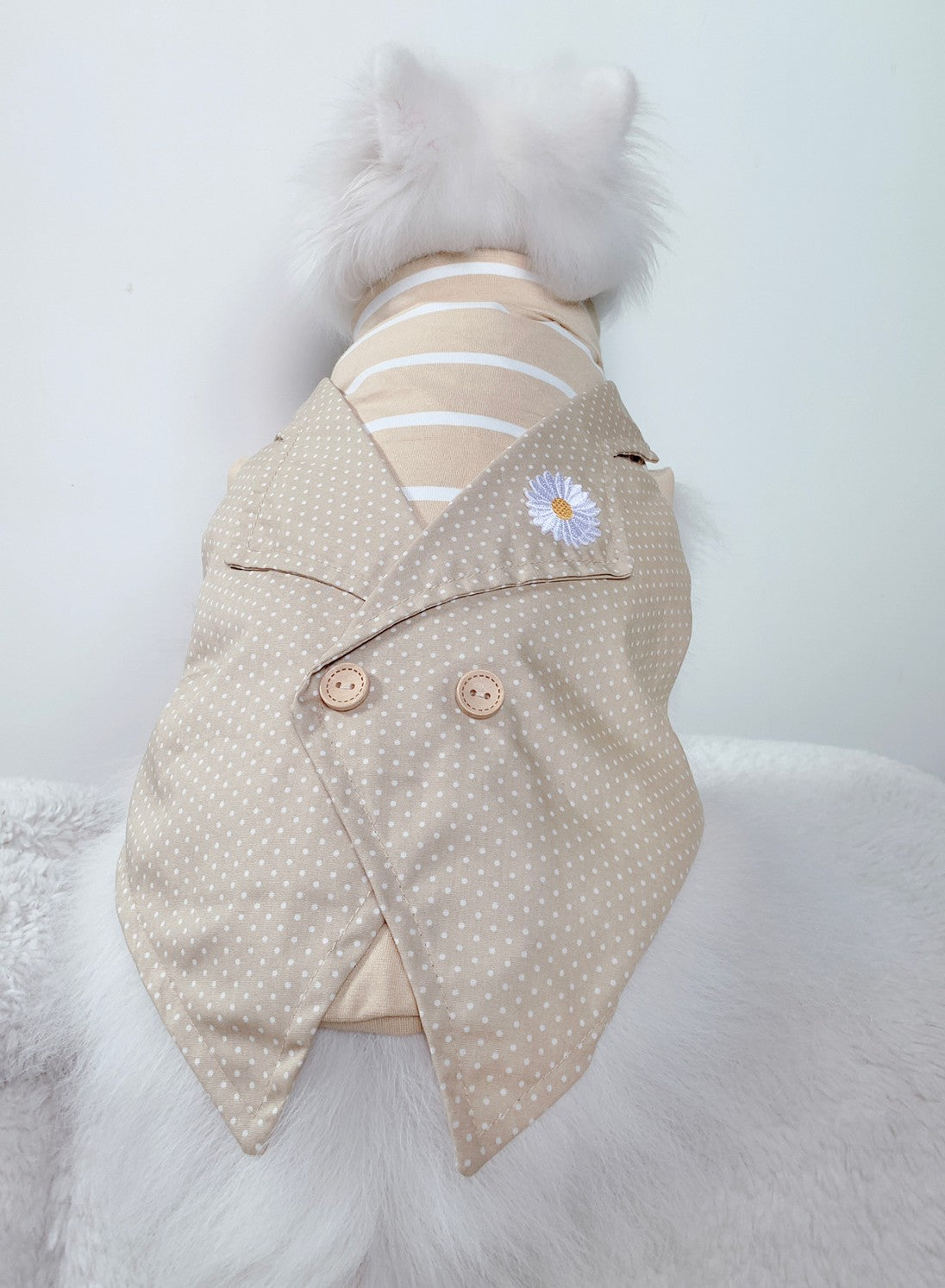 Animal-Go-Round เสื้อผ้าเครื่องแต่งกาย สัตว์เลี้ยง, หมา, แมว, สุนัข รุ่น Smith-Beige Daisy
