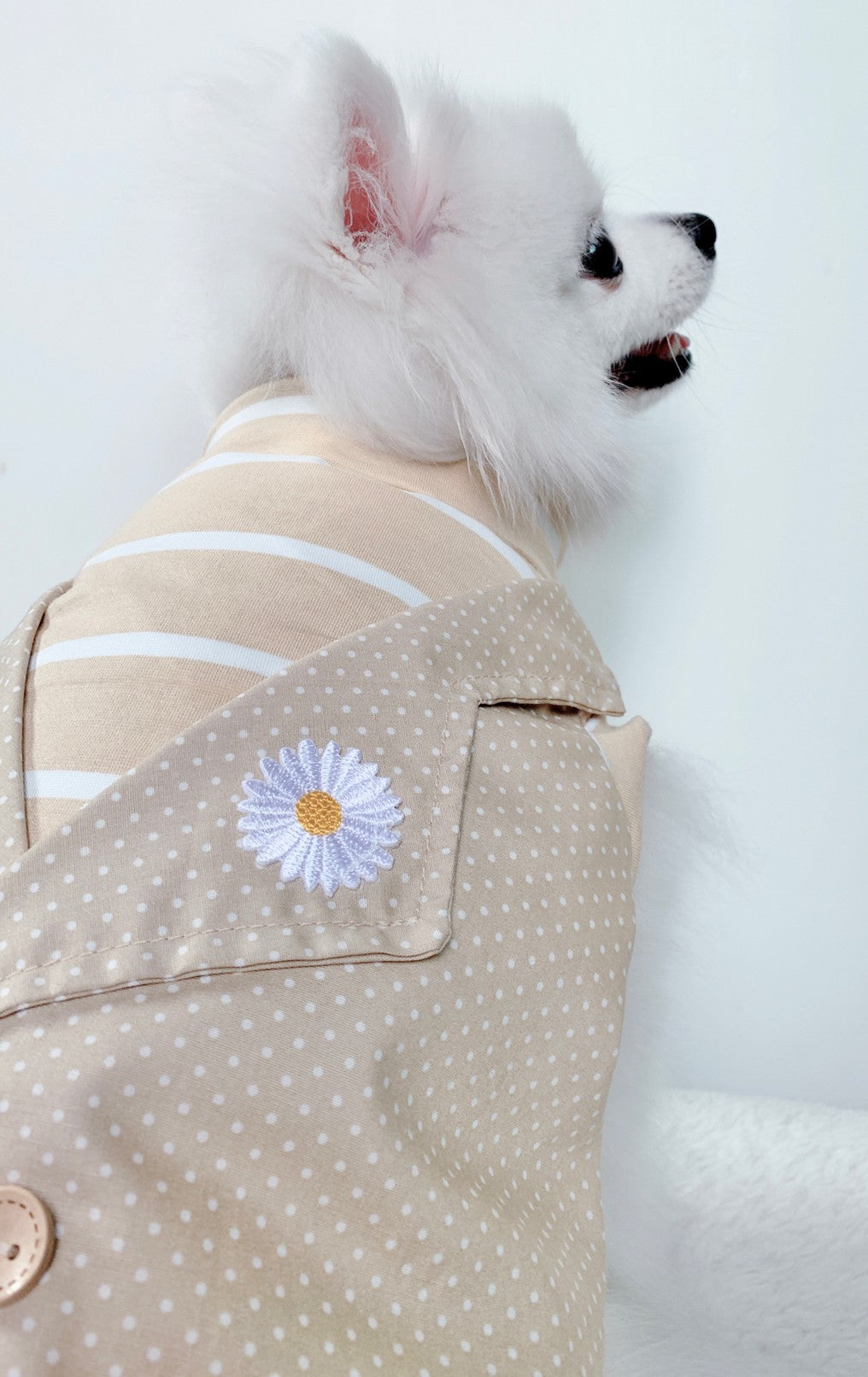 Animal-Go-Round เสื้อผ้าเครื่องแต่งกาย สัตว์เลี้ยง, หมา, แมว, สุนัข รุ่น Smith-Beige Daisy