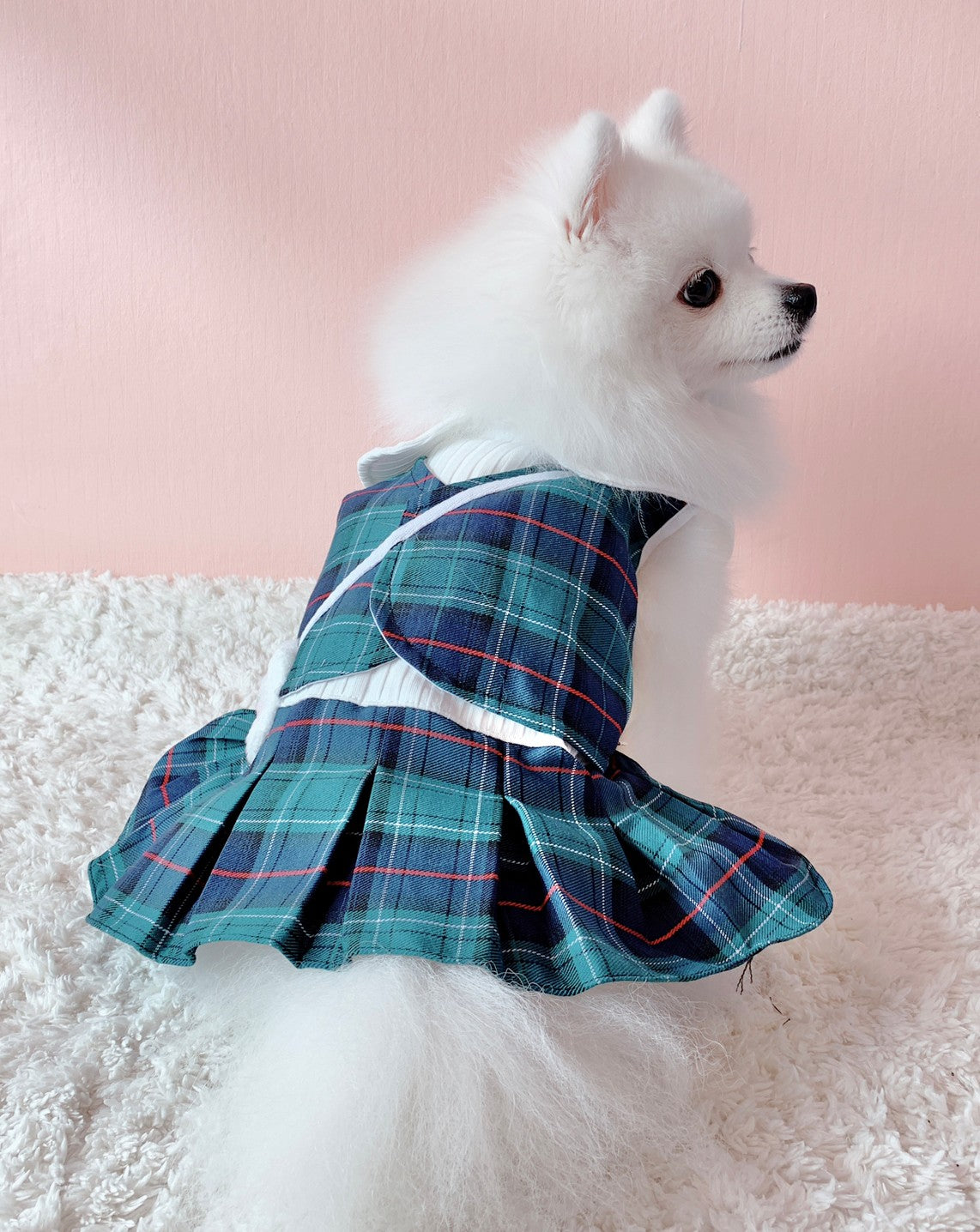 Animal-Go-Round เสื้อผ้าเครื่องแต่งกาย สัตว์เลี้ยง, หมา, แมว, สุนัข รุ่น Animal Primary Girl