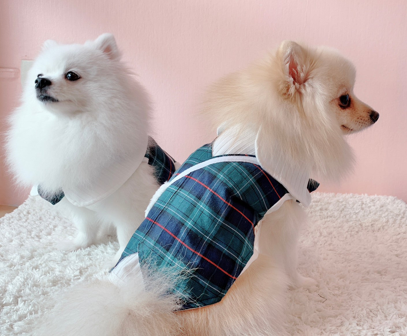 Animal-Go-Round เสื้อผ้าเครื่องแต่งกาย สัตว์เลี้ยง, หมา, แมว, สุนัข รุ่น Animal Primary Boy