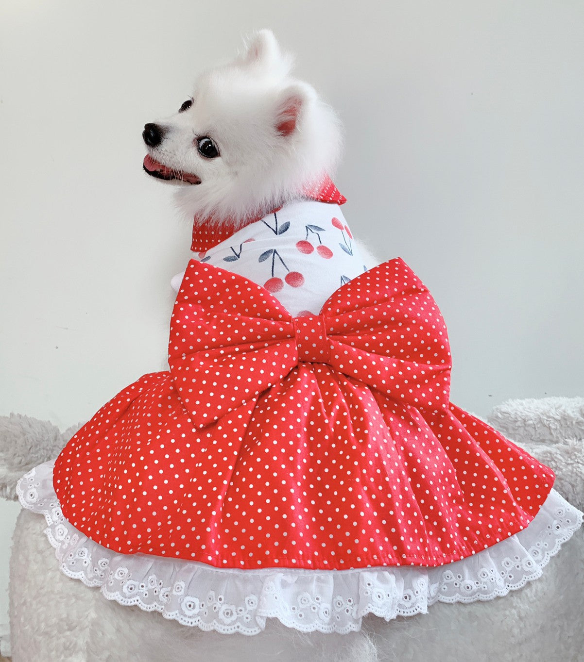 Animal-Go-Round เสื้อผ้าเครื่องแต่งกาย สัตว์เลี้ยง, หมา, แมว, สุนัข รุ่น Cherry Dot