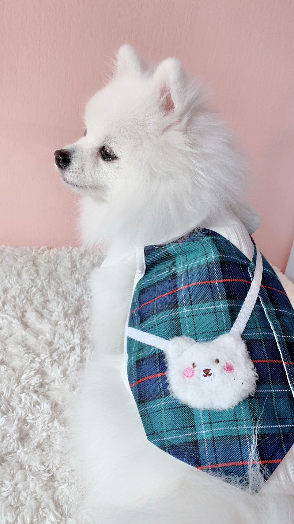 Animal-Go-Round เสื้อผ้าเครื่องแต่งกาย สัตว์เลี้ยง, หมา, แมว, สุนัข รุ่น Animal Primary Boy