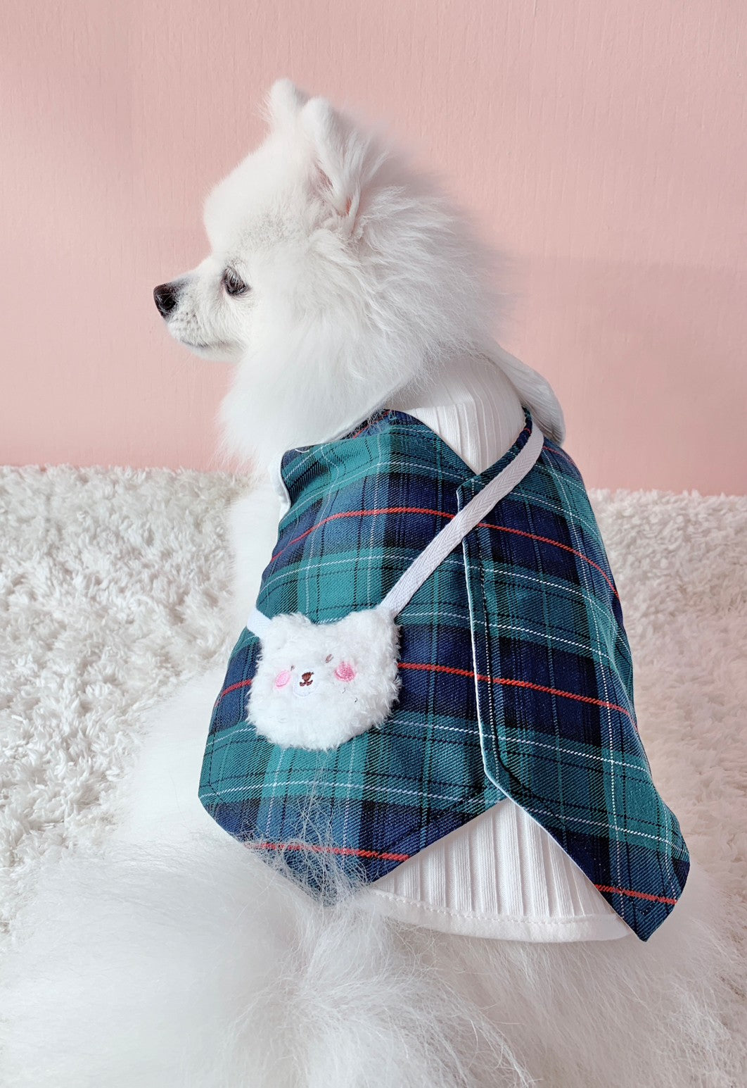 Animal-Go-Round เสื้อผ้าเครื่องแต่งกาย สัตว์เลี้ยง, หมา, แมว, สุนัข รุ่น Animal Primary Boy