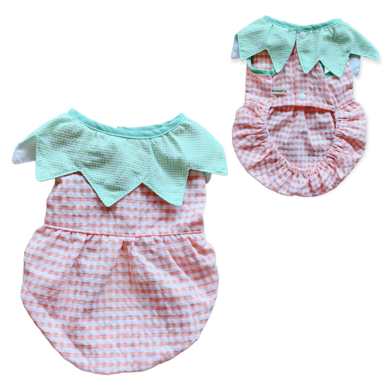Animal-Go-Round เสื้อผ้าเครื่องแต่งกาย สัตว์เลี้ยง, หมา, แมว, สุนัข รุ่น Sweety Pumpkin