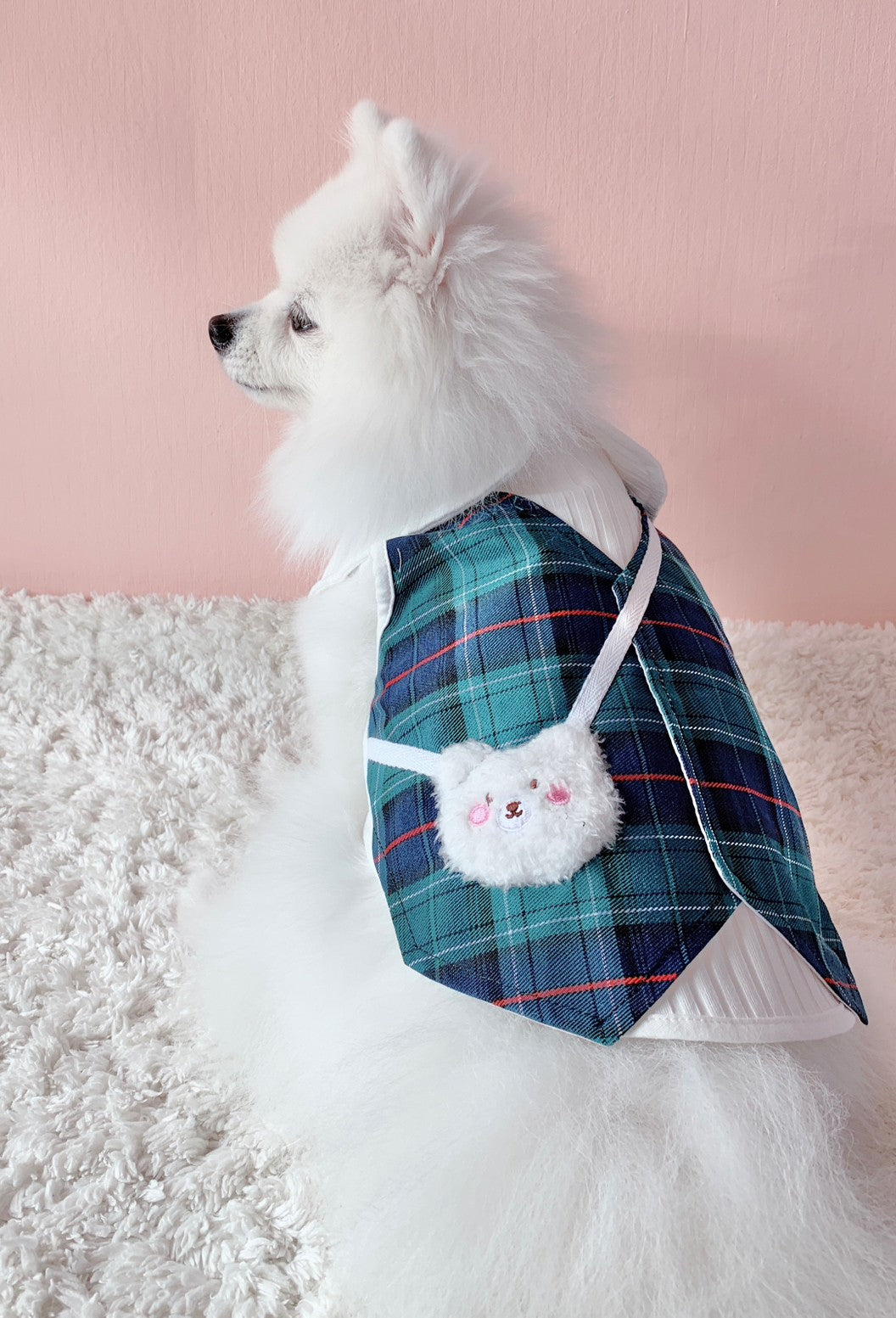 Animal-Go-Round เสื้อผ้าเครื่องแต่งกาย สัตว์เลี้ยง, หมา, แมว, สุนัข รุ่น Animal Primary Boy