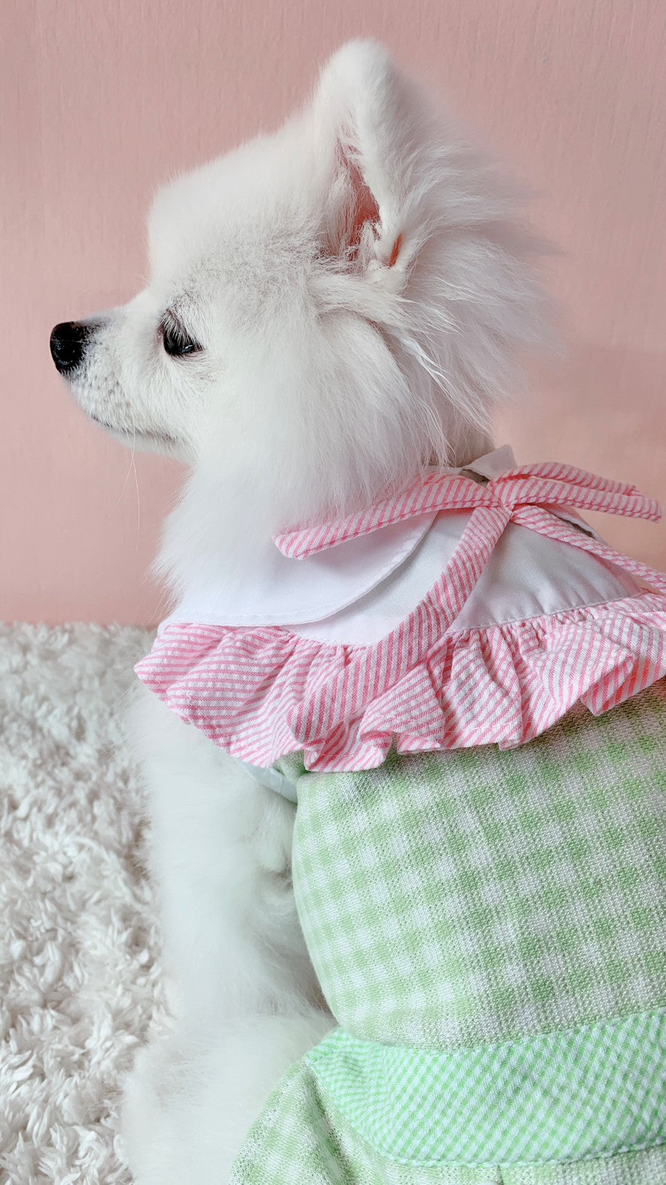 Animal-Go-Round เสื้อผ้าเครื่องแต่งกาย สัตว์เลี้ยง, หมา, แมว, สุนัข รุ่น Acacia Red