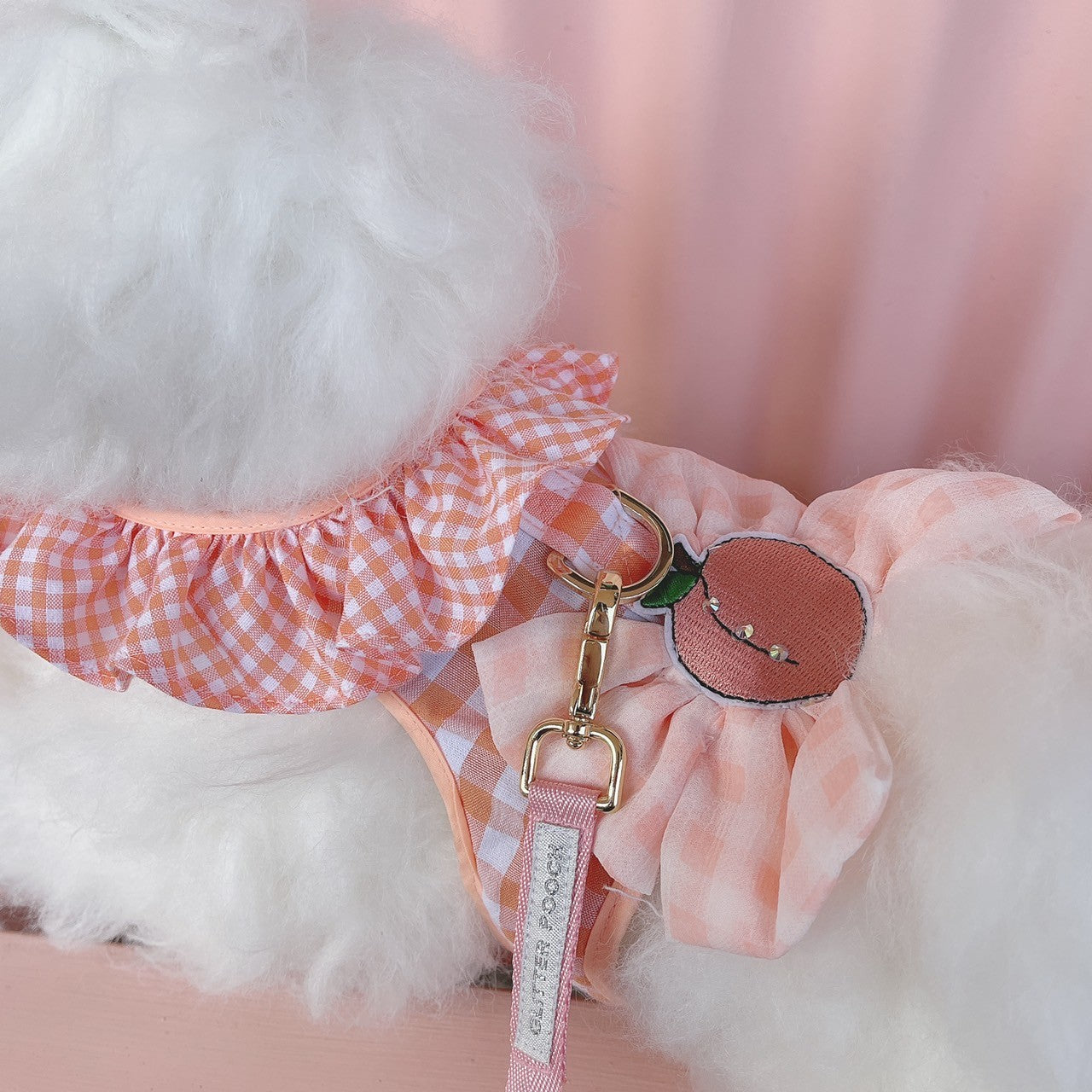 Glitter Pooch ชุดรัดอก สายจูง เสื้อผ้า สุนัข, หมา, แมว, สัตว์เลี้ยง พร้อม สายจูง รุ่น Peach Scotty