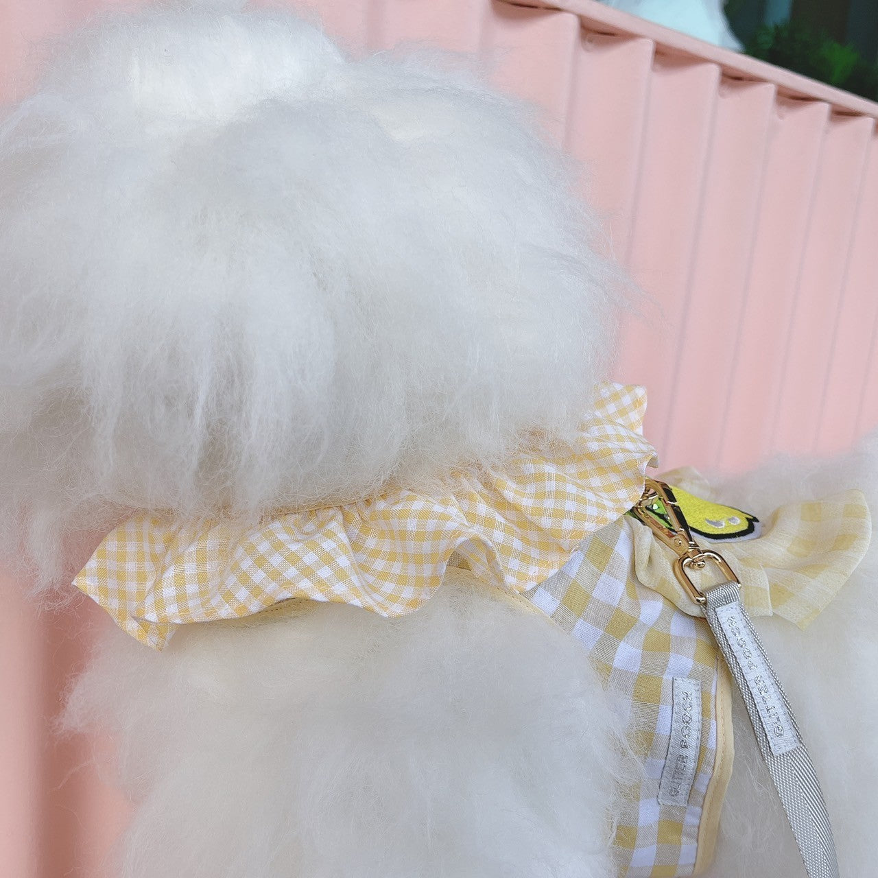 Glitter Pooch Harness ชุดรัดอก สายจูง เสื้อผ้า สุนัข, หมา, แมว, สัตว์เลี้ยง พร้อม สายจูง รุ่น Lemon Scotty
