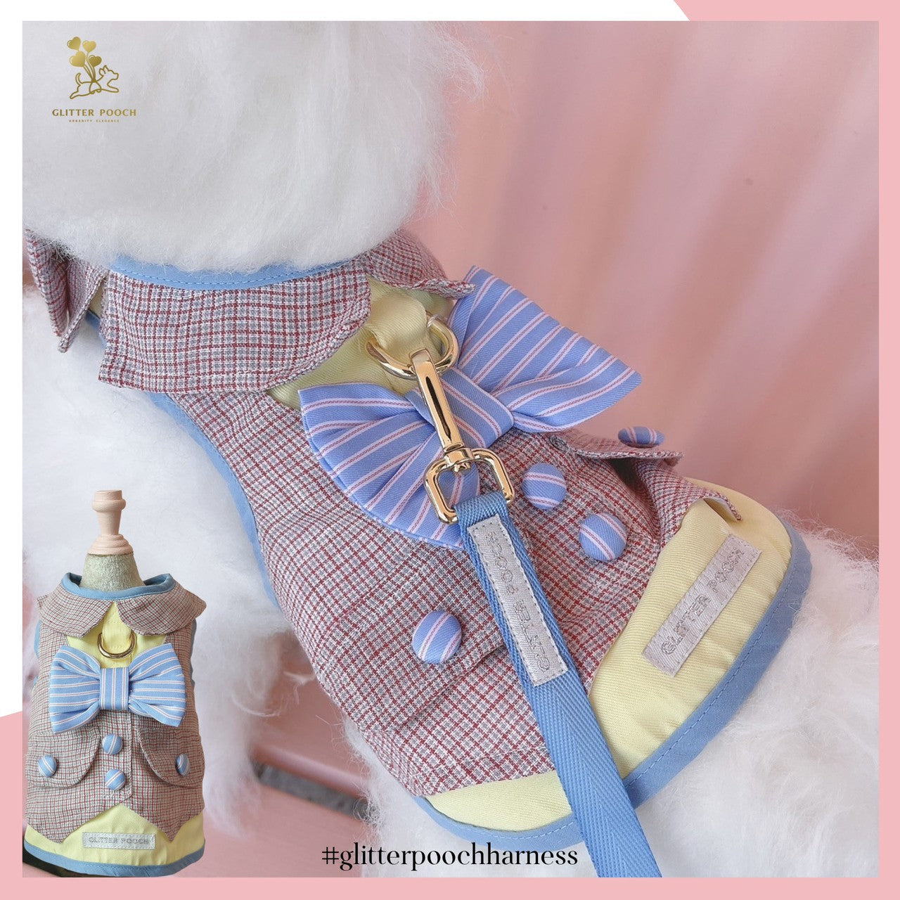 Glitter Pooch ชุดรัดอก สายจูง เสื้อผ้า สุนัข, หมา, แมว, สัตว์เลี้ยง พร้อม สายจูง รุ่น Back to School Boy