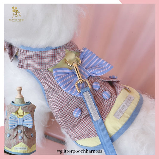 Glitter Pooch ชุดรัดอก สายจูง เสื้อผ้า สุนัข, หมา, แมว, สัตว์เลี้ยง พร้อม สายจูง รุ่น Back to School Boy