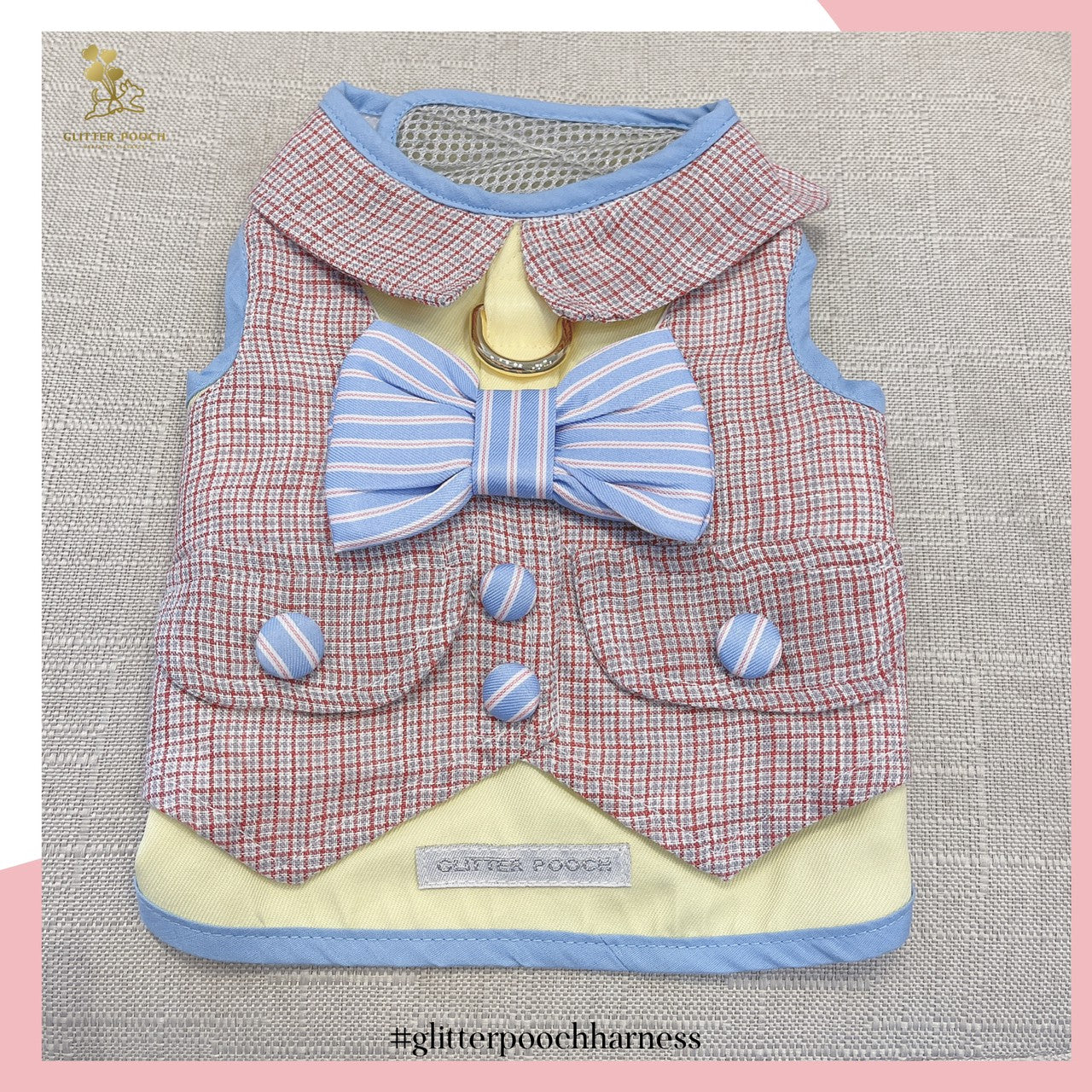 Glitter Pooch ชุดรัดอก สายจูง เสื้อผ้า สุนัข, หมา, แมว, สัตว์เลี้ยง พร้อม สายจูง รุ่น Back to School Boy