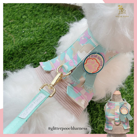 Glitter Pooch ชุดรัดอก สายจูง เสื้อผ้า สุนัข, หมา, แมว, สัตว์เลี้ยง พร้อม สายจูง รุ่น Give Me Five Boy
