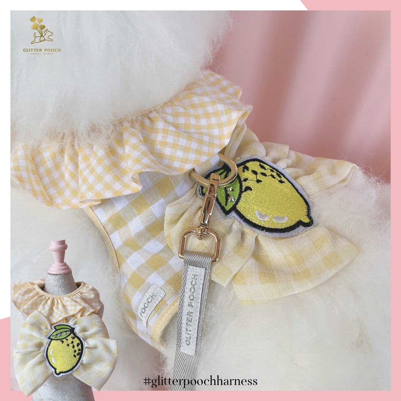 Glitter Pooch Harness ชุดรัดอก สายจูง เสื้อผ้า สุนัข, หมา, แมว, สัตว์เลี้ยง พร้อม สายจูง รุ่น Lemon Scotty