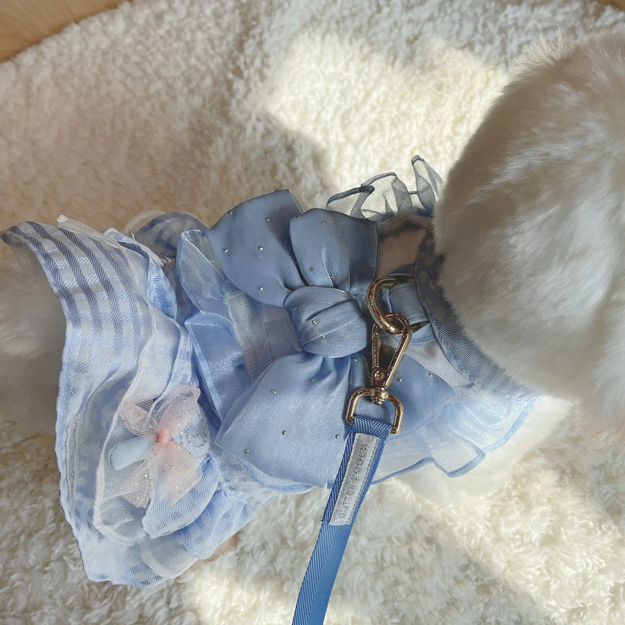 Glitter Pooch Harness ชุดรัดอก สายจูง เสื้อผ้า สุนัข, หมา, แมว, สัตว์เลี้ยง พร้อม สายจูง รุ่น Sweetie Lollipop Blue