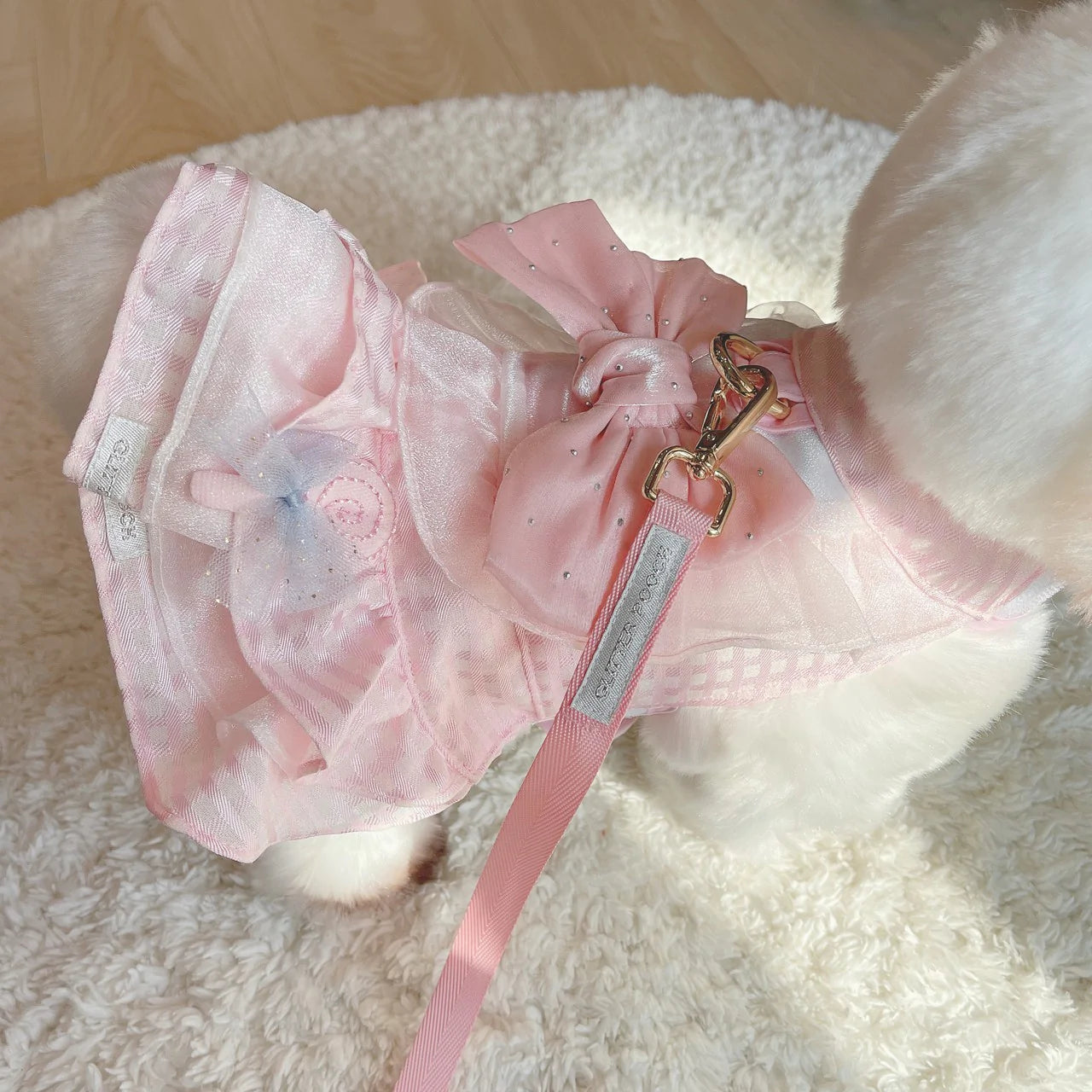 Glitter Pooch Harness ชุดรัดอก สายจูง เสื้อผ้า สุนัข, หมา, แมว, สัตว์เลี้ยง พร้อม สายจูง รุ่น Sweetie Lollipop Pink