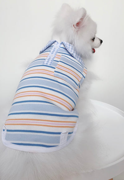 Animal-Go-Round เสื้อผ้าเครื่องแต่งกาย สัตว์เลี้ยง, หมา, แมว, สุนัข รุ่น Hype Boy Shirt