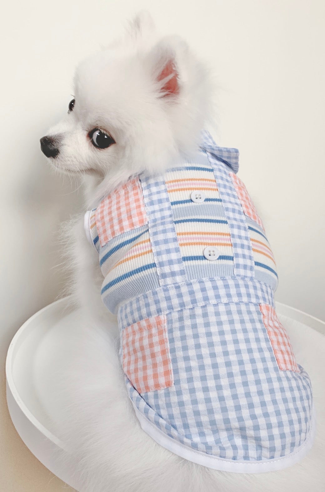 Animal-Go-Round เสื้อผ้าเครื่องแต่งกาย สัตว์เลี้ยง, หมา, แมว, สุนัข รุ่น Hype Boy Scotty