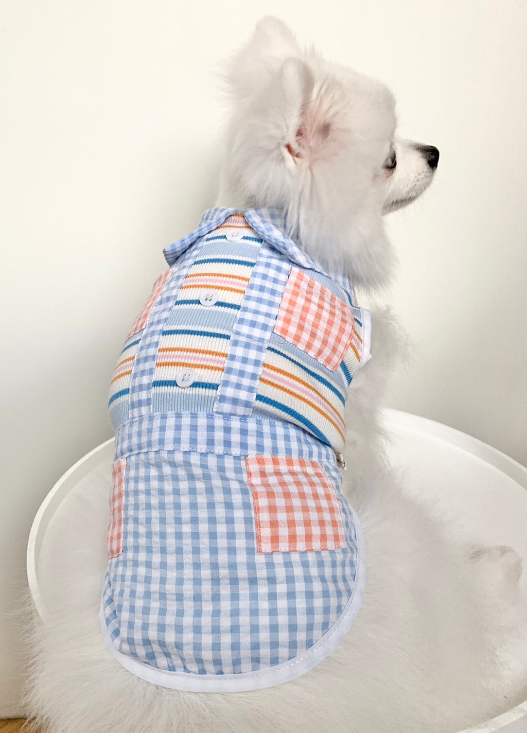 Animal-Go-Round เสื้อผ้าเครื่องแต่งกาย สัตว์เลี้ยง, หมา, แมว, สุนัข รุ่น Hype Boy Scotty