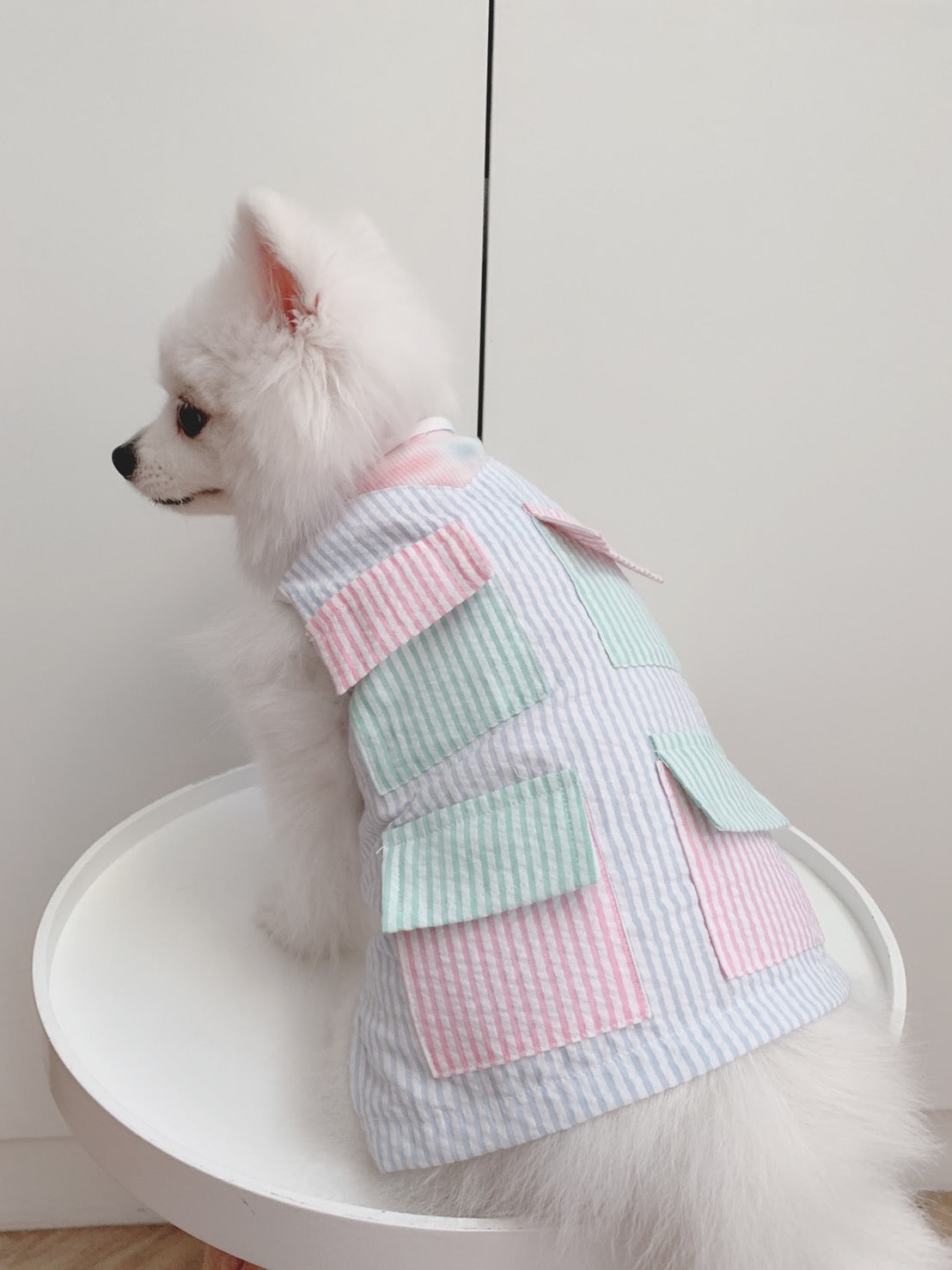 Animal-Go-Round เสื้อผ้าเครื่องแต่งกาย สัตว์เลี้ยง, หมา, แมว, สุนัข รุ่น Pastel Pocket Boy