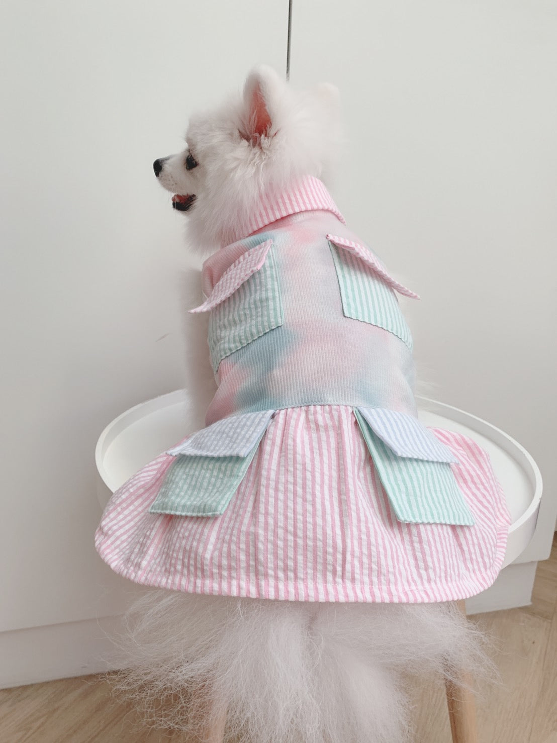 Animal-Go-Round เสื้อผ้าเครื่องแต่งกาย สัตว์เลี้ยง, หมา, แมว, สุนัข รุ่น Pastel Pocket Girl