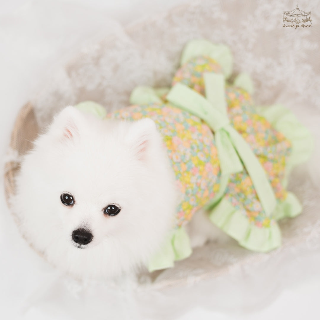 Animal-Go-Round เสื้อผ้าเครื่องแต่งกาย สัตว์เลี้ยง, หมา, แมว, สุนัข รุ่น Fall Blooming