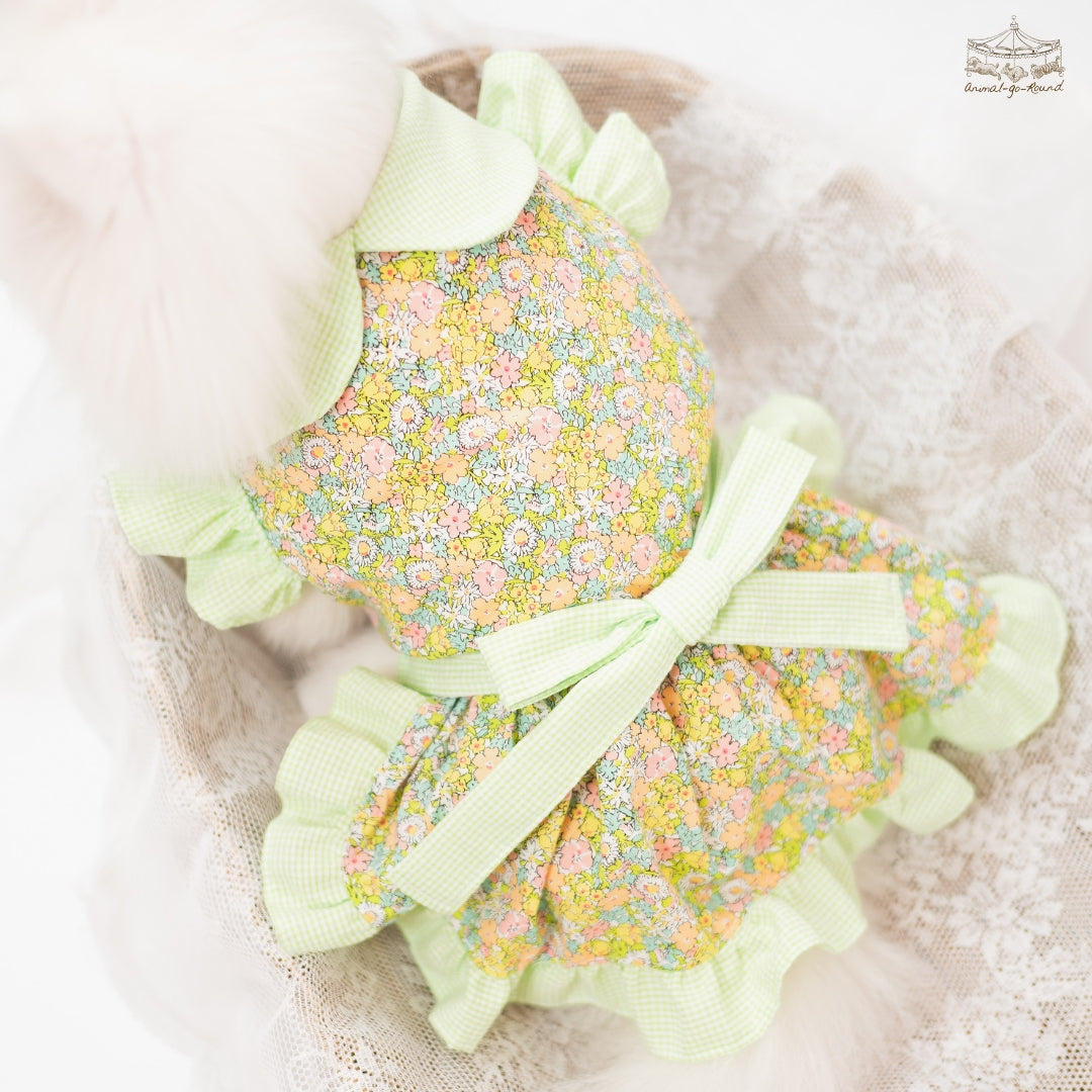 Animal-Go-Round เสื้อผ้าเครื่องแต่งกาย สัตว์เลี้ยง, หมา, แมว, สุนัข รุ่น Fall Blooming